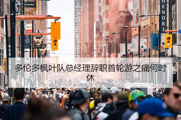 多伦多枫叶队总经理辞职首轮游之痛何时休